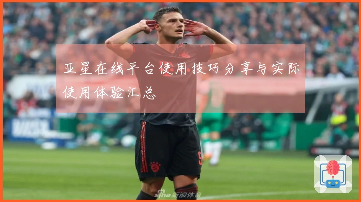 亚星在线平台使用技巧分享与实际使用体验汇总