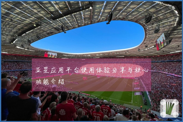 亚星应用平台使用体验分享与核心功能介绍